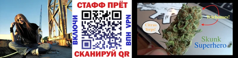 Где можно купить наркотики Шадринск Псилоцибиновые грибы  МЕФ  Alpha PVP  ГАШИШ  Кокаин  ОМГ ОМГ ССЫЛКА  МАРИХУАНА 