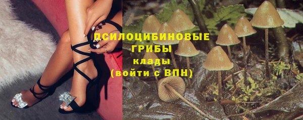 марихуана Белокуриха
